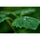 Sigma 20-200mm f/3.5-6.3 DG Contemporary Lens (Sony E)