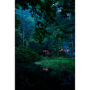 Sigma 20-200mm f/3.5-6.3 DG Contemporain Objectif (Sony E)