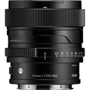 Sigma 65 mm f / 2 dg contemporain Objectif (L-Mount, Noir)