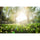 7Artisans 14mm T2.9 Canon (EOS-R Mount)