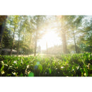 7Artisans 14mm T2.9 Canon (EOS-R Mount)