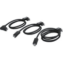 Ensemble de conception blackmagique de 3 câbles USB de verrouillage pour les caméras Ursa Cine EVF