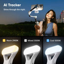 Insta360 Flow 2 Pro Ai Tracker Bundle (Grey Stone)