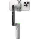 Insta360 Flow Pro Standard Bundle (gris)