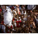 Hasselblad Filter ND8 62mm