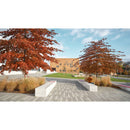 Hasselblad XCD 4.5 20-35mm Lens