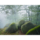 Hasselblad XCD 4.5 20-35mm Lens