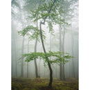 Hasselblad XCD 4.5 20-35mm Lens