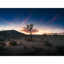 Hasselblad 907X 100C Medium Format Mirrorless Camera