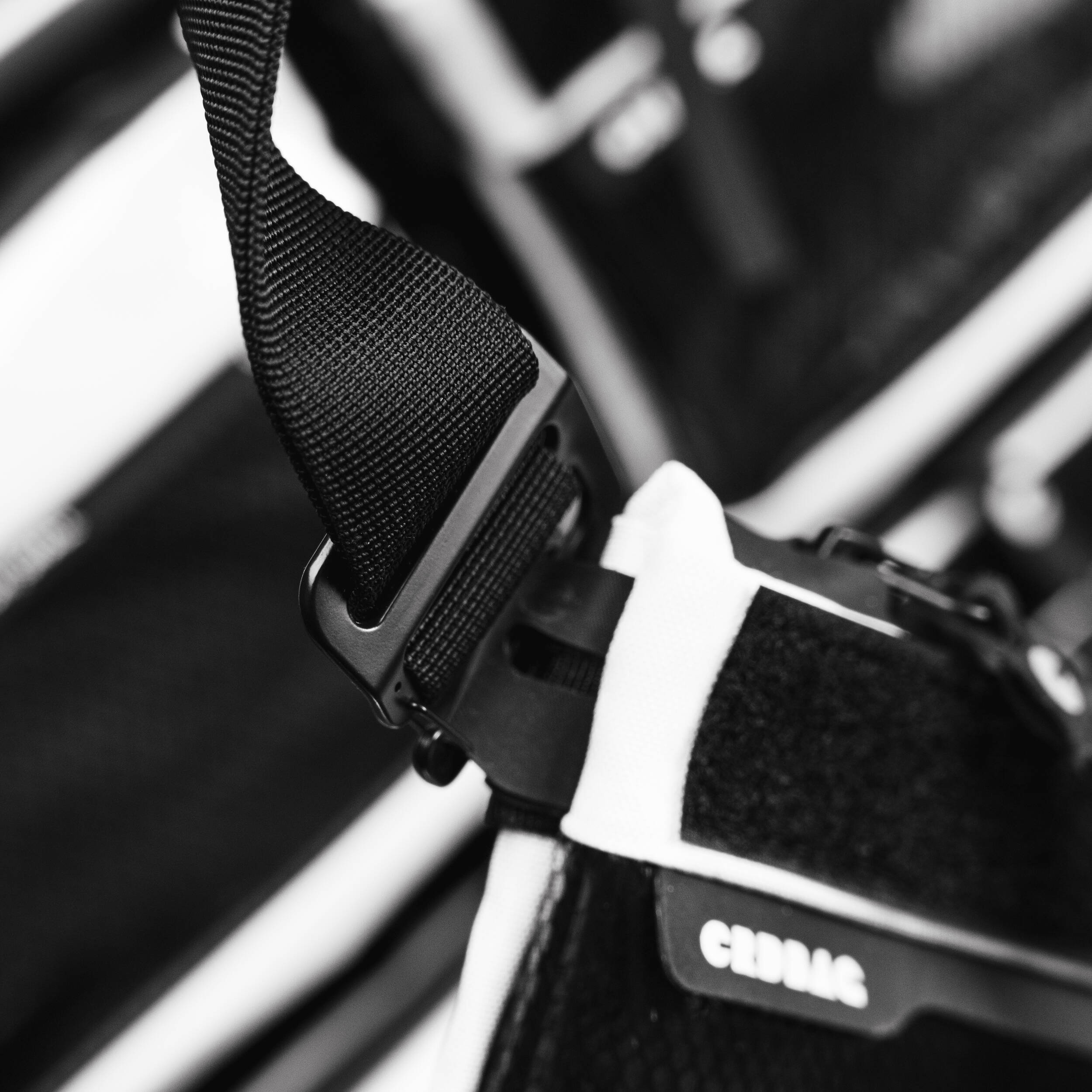 Sangle CRDBAG CRDSLING LITE pour CRDPOUCH MKII