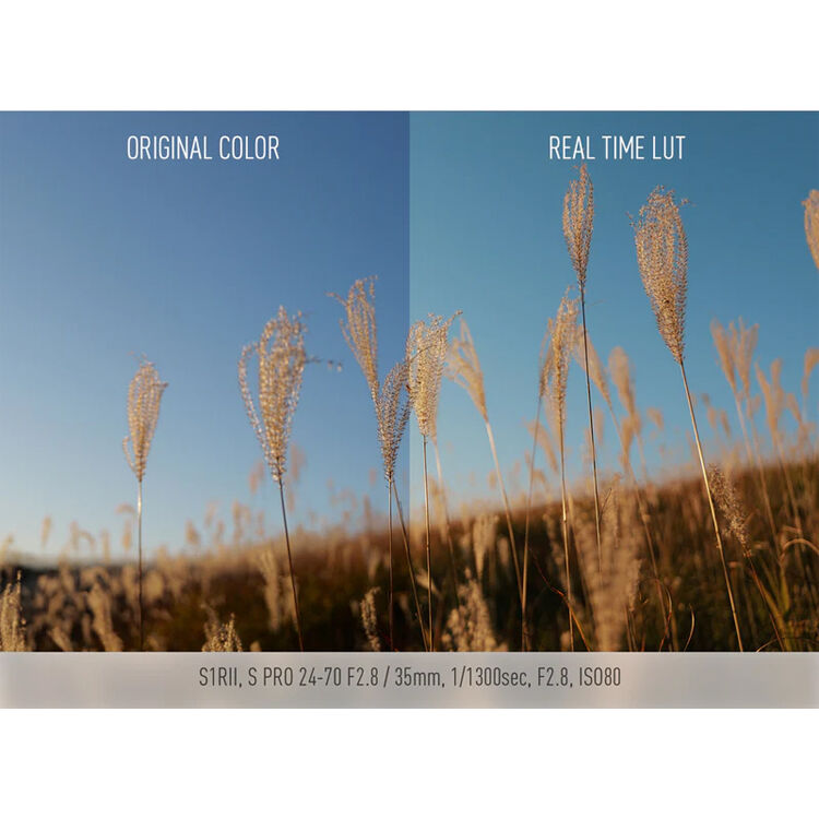 Panasonic Lumix S1R II sans miroir caméra avec 24-60 mm F2.8 Objectif