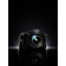 Panasonic Lumix DMC-FZ2500 numérique caméra