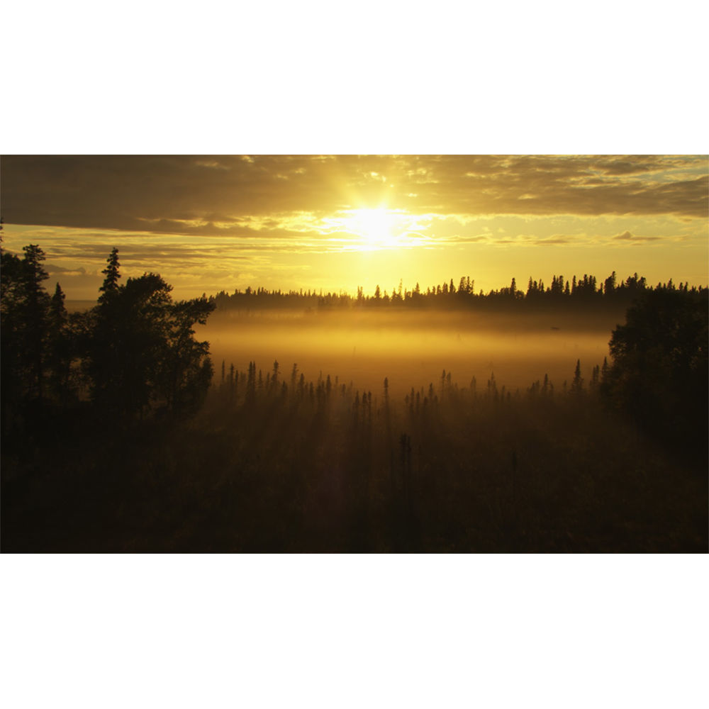 Blackmagic Design DaVinci Resolve Studio Non Linear Editor