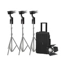 NANLITE Forza 60C with Fresnel Lens & Case (3-Light Kit)