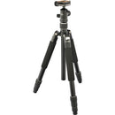 Giottos VGR9264-M2N Aluminium trépied/ Monopode avec tête de balle QR