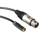 Blackmagic Design Video Assist 4k - 2 x 19,5 pouces Mini XLR à XLR Câbles audio