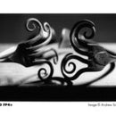 Ilford FP4 125 Plus Noir et un film négatif blanc (120 films)