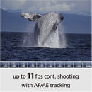 Sony a6100 Mirrorless Camera with 16-50mm f/3.5-5.6 II Lens