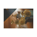 Sony A7c II sans miroir caméra avec objectif 28-60 mm - argent