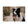 Sony a7CR Mirrorless Camera - Black