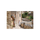 Sony a7CR Mirrorless Camera - Black