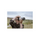 Sony a7CR Mirrorless Camera - Silver