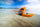 HoverAir AQUA Camera Drone Basic Combo
