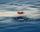 HoverAir AQUA Camera Drone Basic Combo