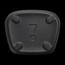 JBL Party Box Encore 2 (2 Microphones Included)