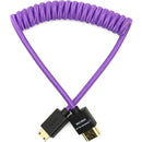 Kondor Blue Gerald Undone MK2 Câble mini HDMI vers HDMI complet 30,5 - 61 cm enroulé (violet)