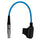 Variant image for KB-Dtap-FLemo2P-6