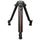 Cartoni Focus 22 Tripod System with 2-Stage Aluminum Legs, Mid-Level Spreader, and Bag