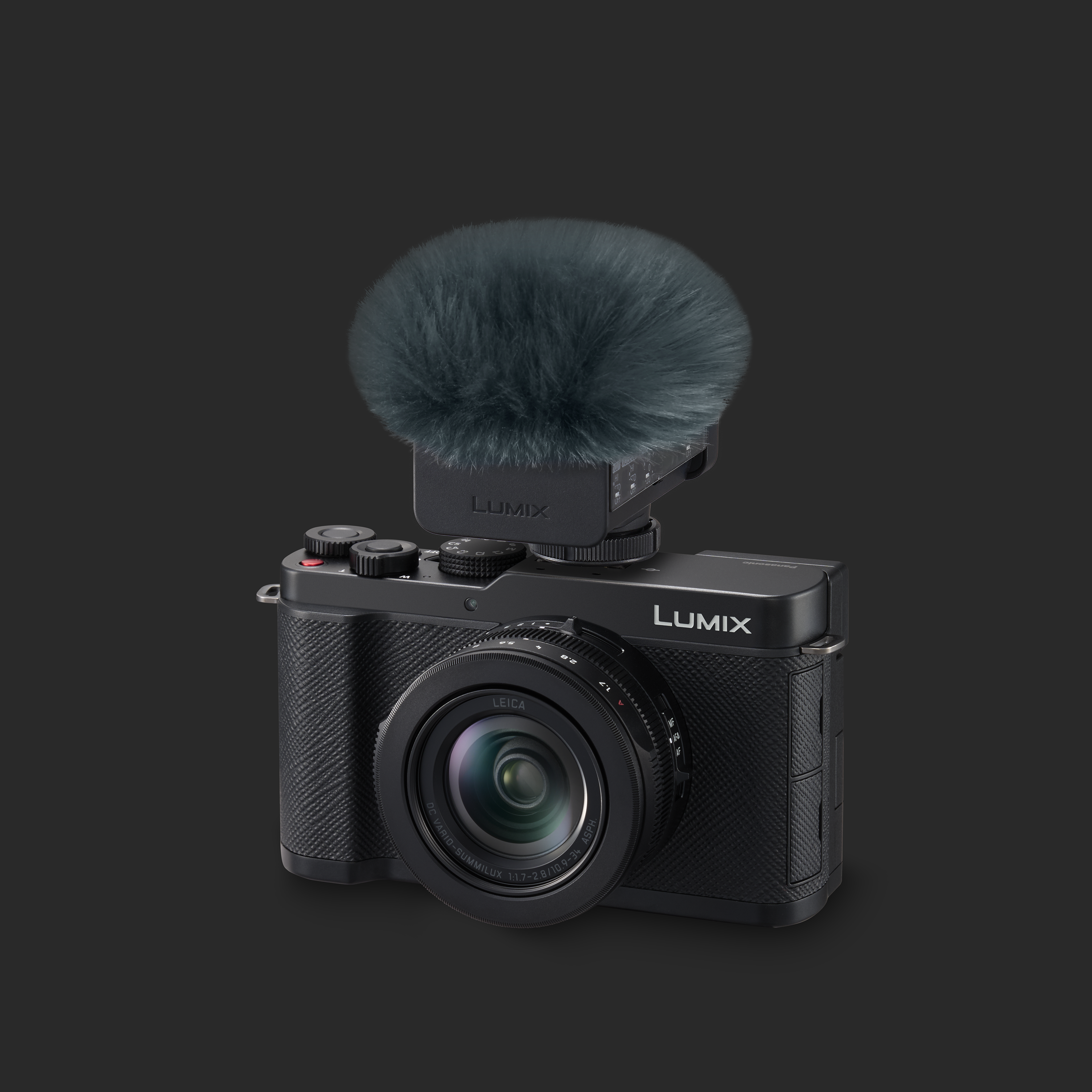 Panasonic Lumix L10 Digital Camera with  24-75mm F1.7-2.8 Leica Lens (Black)