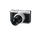 Panasonic Lumix L10 Digital Camera with  24-75mm F1.7-2.8 Leica Lens (Silver)