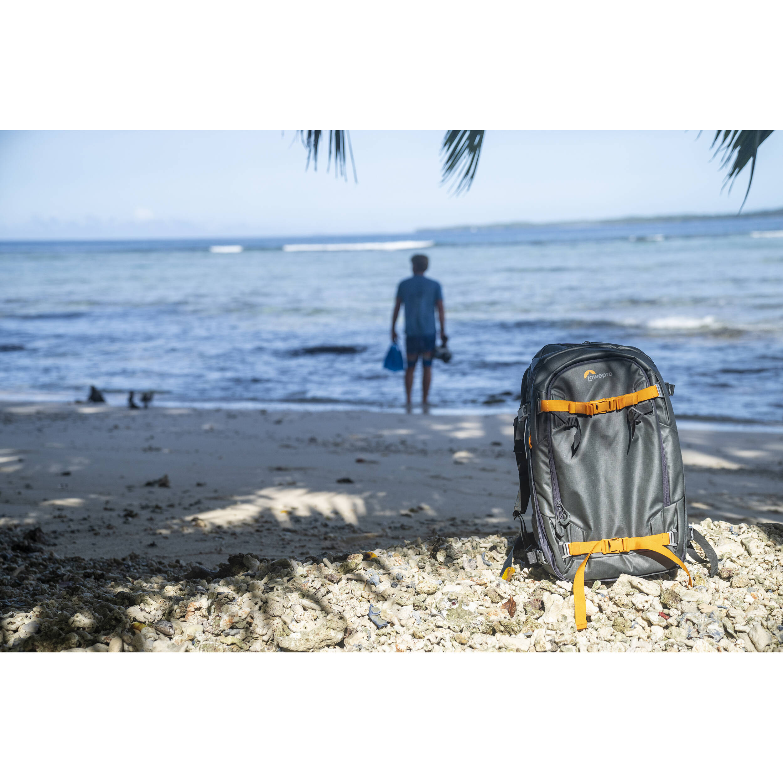 Lowepro Whistler 350 BP AW II (gris)