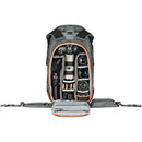 Lowepro Whistler 450 BP AW II (gris)