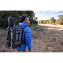 LowePro     PRO TREKKER BP 450 AW II - GREY/BLACK