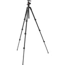 Manfrotto Befree a avancé en tant que voyage en aluminium trépied avec serrures de levier et 494 tête de balle centrale