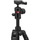 Manfrotto Befree Advanced AS Aluminum Travel Tripod with Twist Locks and 494 Center Ball Head