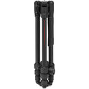 Manfrotto Befree Advanced AS Aluminum Travel Tripod with Twist Locks and 494 Center Ball Head