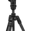 Manfrotto Befree GT PRO Carbon Fiber Travel Tripod with 3-Way Pan/Tilt Head