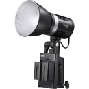 Godox ML30 Daylight LED DAITY LIGHT