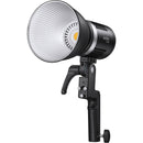 Godox ML30 Daylight LED DAITY LIGHT