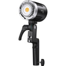 Godox ML30 Daylight LED DAITY LIGHT