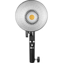Godox ML30 Daylight LED DAITY LIGHT