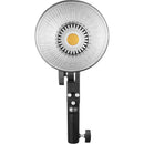 Godox ML30 Daylight LED Dainty Light