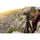 Tête de fluide manfrotto 500x
