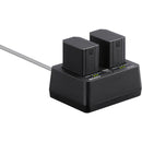 Sony NP-SA100 Battery (2670 mAh)