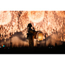 Nikon NIKKOR Z 135mm f/1.8 S Plena Lens