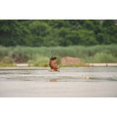 Nikon NIKKOR Z 600mm f/6.3 VR S Lens - Nikon Z mount